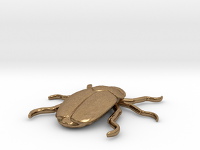 Japanese beetle in Natural Brass