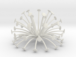 seed head 11   boolean (fixed) in White Natural Versatile Plastic