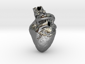 Real Anatomical Heart Hollow in Polished Silver