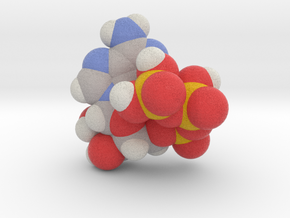 ATP molecule (x40,000,000, 1A = 4mm) in Full Color Sandstone