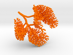 Embryonic Mouse Lung in Orange Processed Versatile Plastic