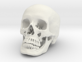 Jack-o'-lantern skull from CT scan, half size in White Natural Versatile Plastic