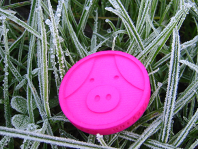 Pigcoin Plastic in Pink Processed Versatile Plastic