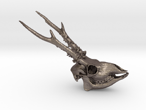 Roe Deer Skull - 110mm in Polished Bronzed Silver Steel