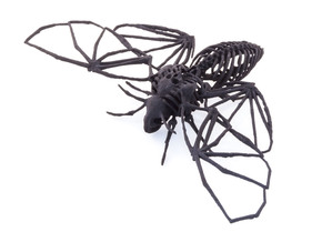 Death's Head Hawkmoth Skeleton in Black Natural Versatile Plastic