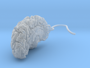 High detail brain earrings from MRI scan in Tan Fine Detail Plastic