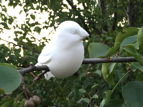 Bird - looking left in White Natural Versatile Plastic