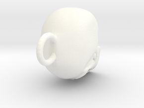 Skull  in White Processed Versatile Plastic
