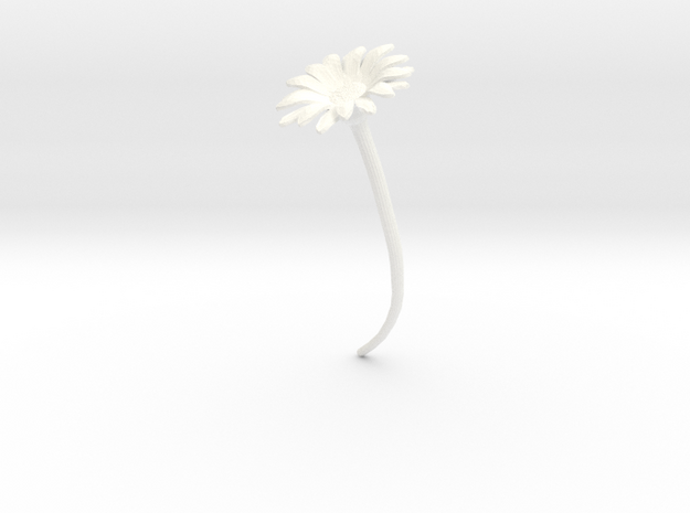 Daisy in White Processed Versatile Plastic