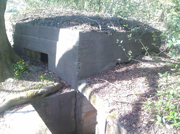 Clyne Valley Type 22 Bunker in White Natural Versatile Plastic: 1:152