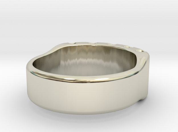 US9 Ring XIV: Tritium (homesarstar special) in 14k White Gold