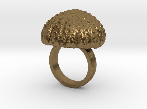 Urchin Statement Ring - US-Size 5 1/2 (16.10 mm) in Natural Bronze