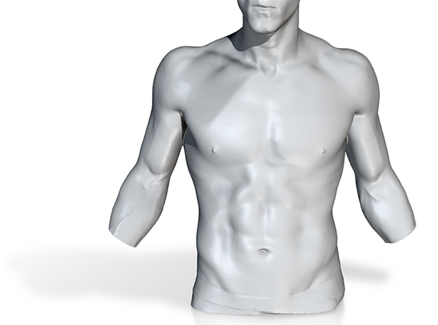 Digital-Man Body Part 001 scale in 4cm in Man Body Part 001