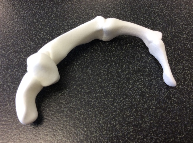 Thumb Bones - Bent - Medium in White Processed Versatile Plastic