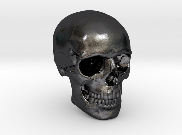 1/24  Human Skull Crane Schädel че́реп in Polished and Bronzed Black Steel