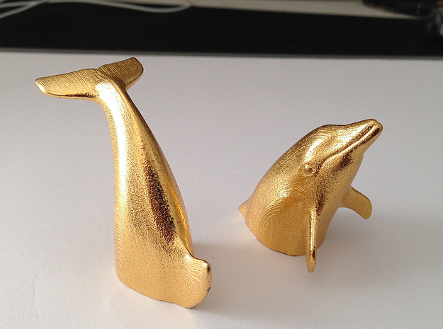 Peeking Dolphin S (Head) in Polished Gold Steel