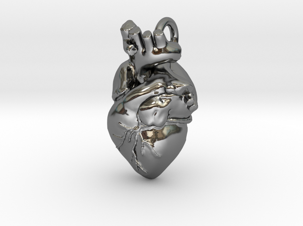 Anatomical Heart Pendant in Fine Detail Polished Silver