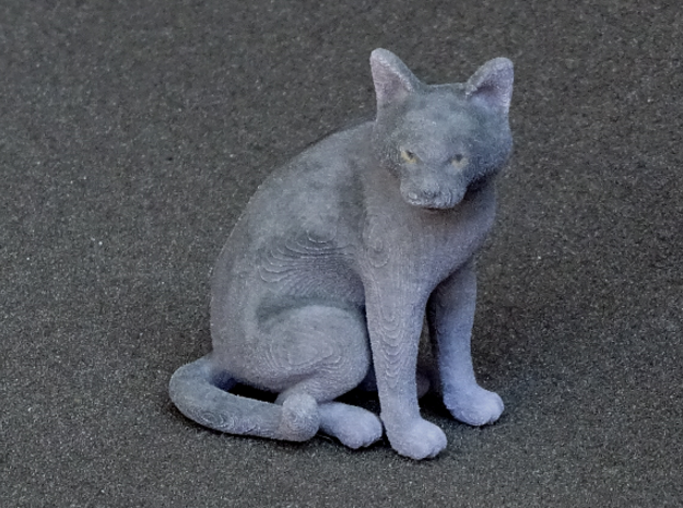 Sitting Gray Chartreux in Full Color Sandstone