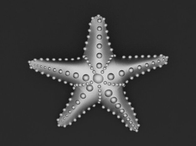  Starfish in Aluminum