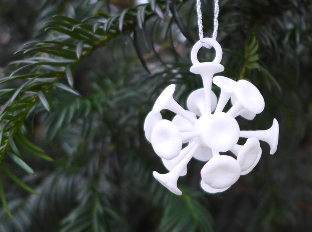 Discosphaera Ornament - Science Gift in White Processed Versatile Plastic