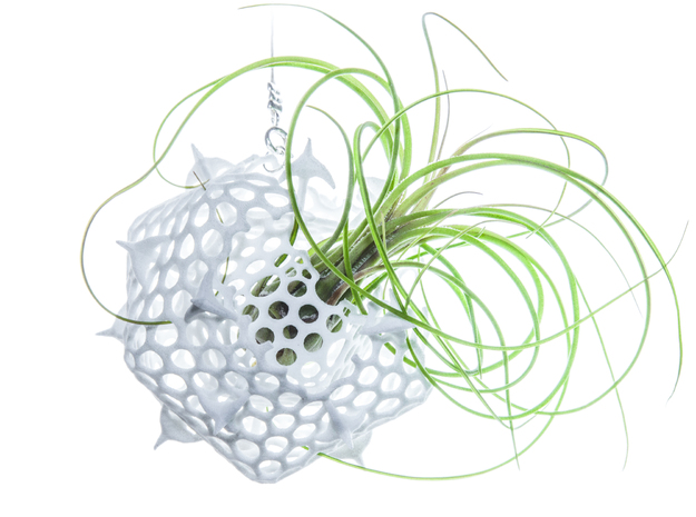 Radiolaria Platonica Planter in White Natural Versatile Plastic