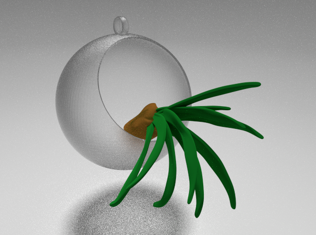 Air plant Christmas tree decoration in Smooth Fine Detail Plastic