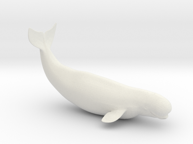 Beluga in White Natural Versatile Plastic