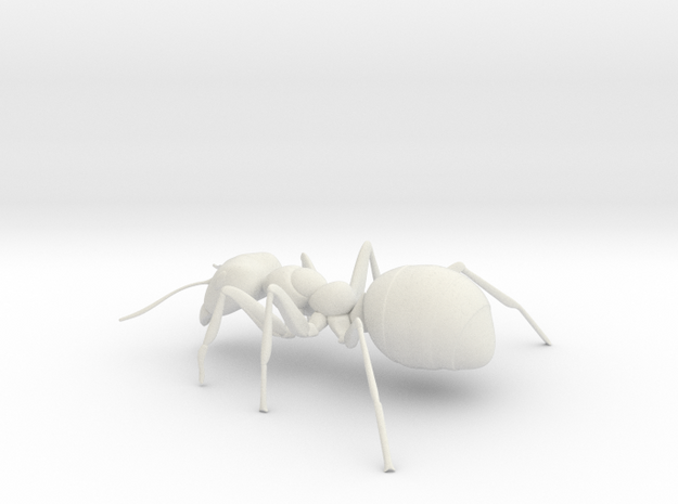 ANT-7inch in White Natural Versatile Plastic