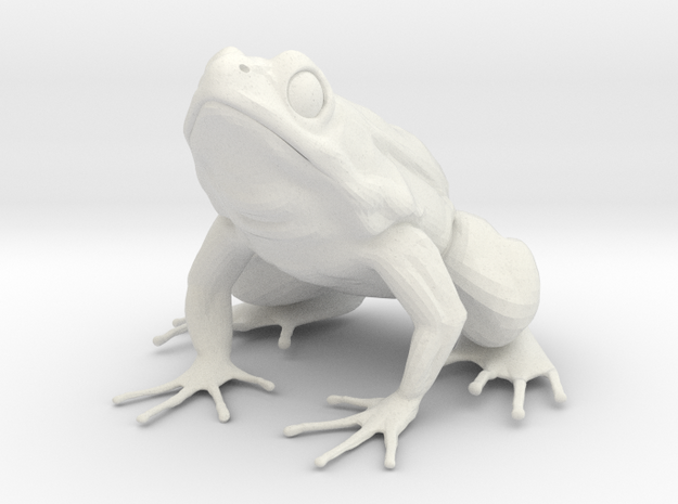Large Frog Print in White Natural Versatile Plastic