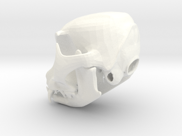Large Cat Skull in White Processed Versatile Plastic