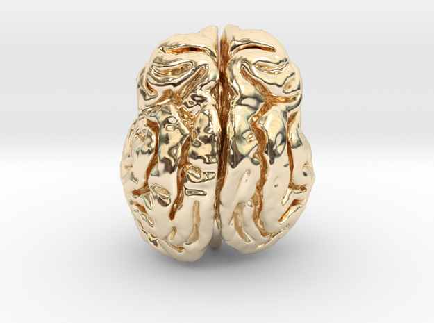Leopard brain in 14K Yellow Gold