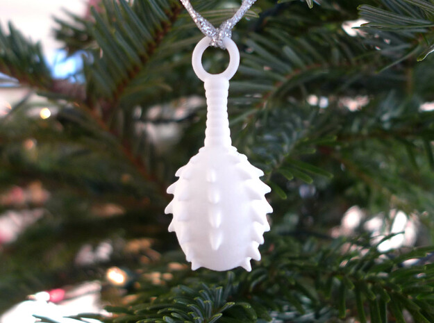 Lagena Ornament - Science Gift in White Processed Versatile Plastic