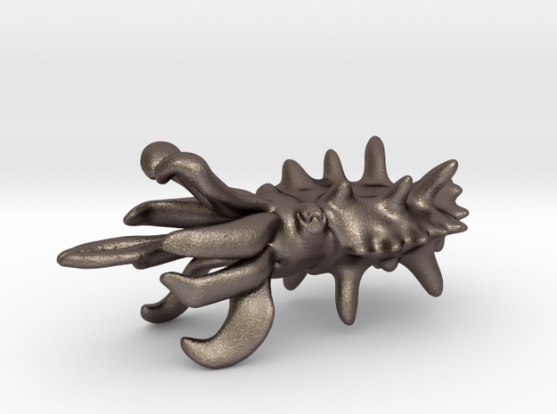 Flamboyant Cuttlefish  in Polished Bronzed Silver Steel