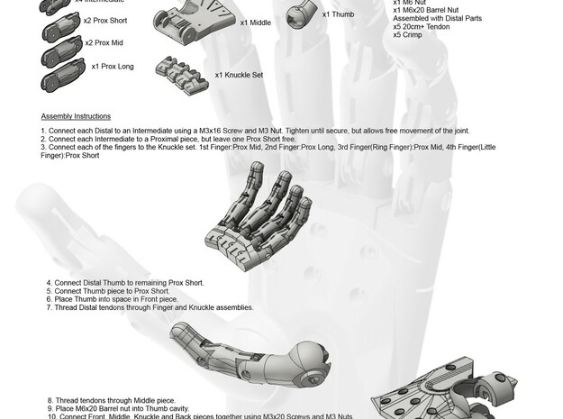 3D Printed Hand Pair in White Natural Versatile Plastic