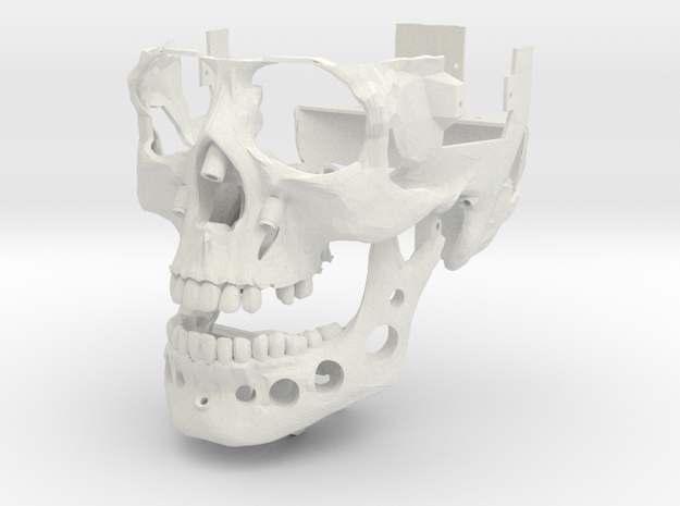 Skull Outer Shell v0.3 in White Natural Versatile Plastic