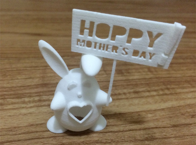 Buntitia -- Hoppy Mothers Day! in White Natural Versatile Plastic