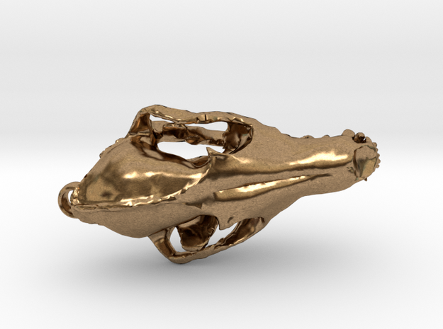 Fox Skull - 27mm in Natural Brass