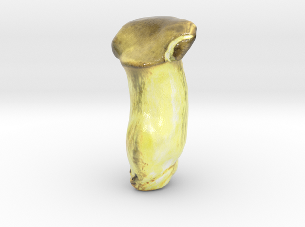 The King Trumpet Mushroom-mini in Glossy Full Color Sandstone
