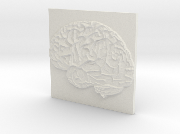 Brain in White Natural Versatile Plastic