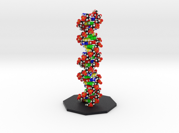 DNA Molecule Standing Standard