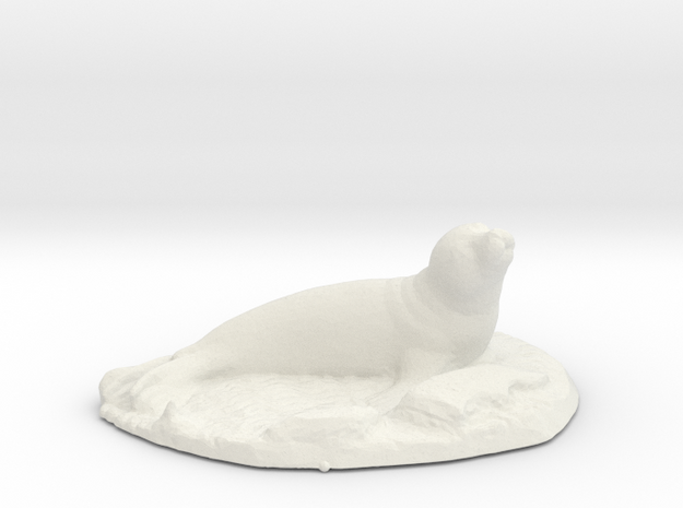 Seal on rocks in White Natural Versatile Plastic