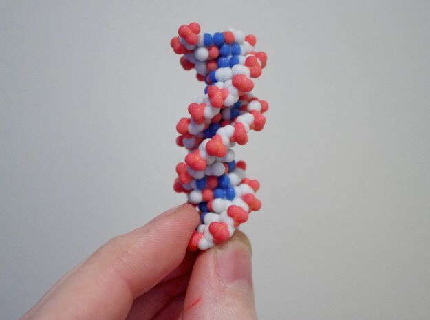 DNA molecule small