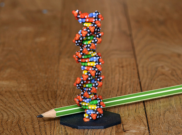 DNA Molecule Standing Standard in Full Color Sandstone