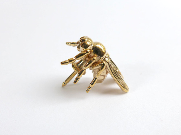 Drosophila Fruit Fly Lapel Pin in Polished Bronze