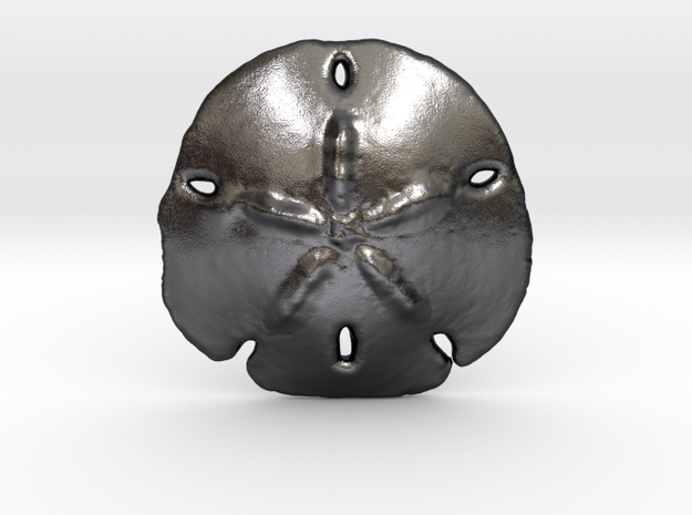 Sand Dollar Pendant in Polished and Bronzed Black Steel