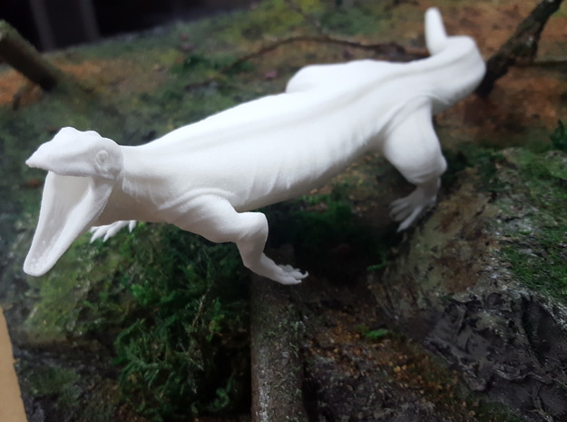 Asprosaurus (Medium / Large size) in White Natural Versatile Plastic: Medium