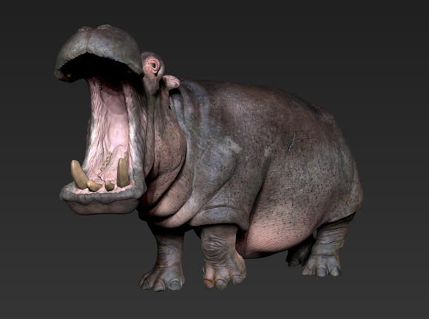 Hippo mini size (color)