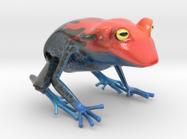 Wilds of Organica - Frog in Glossy Full Color Sandstone