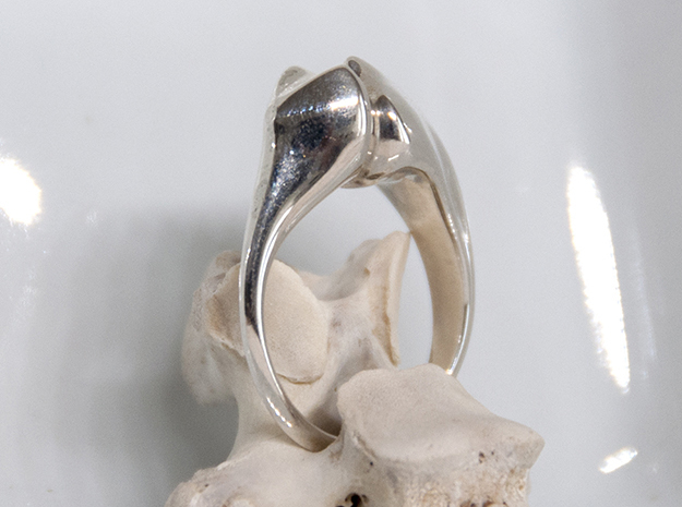 Beetle Horn Ring in Polished Silver: 6 / 51.5