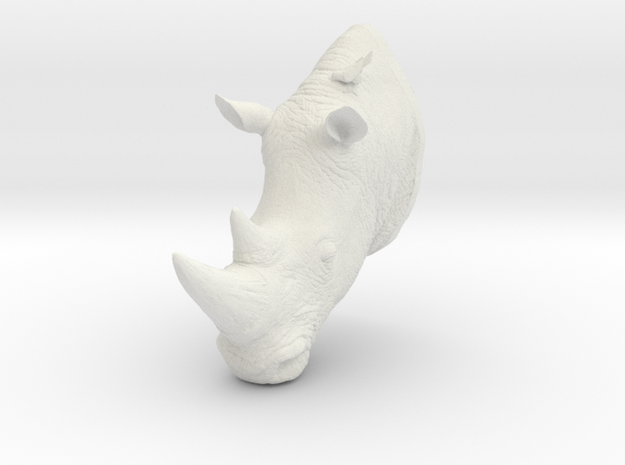 Part 1 of 3 White Rhino (Headpiece)